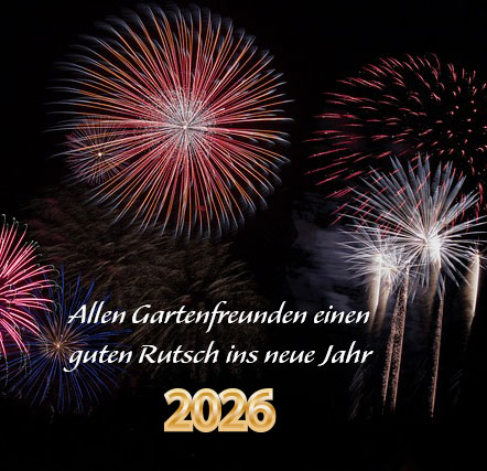 Neujahrsfeuerwerk